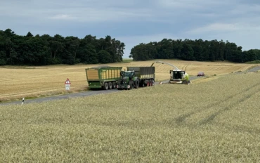 Getreideganzpflanzensilage
