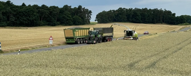 Getreideganzpflanzensilage