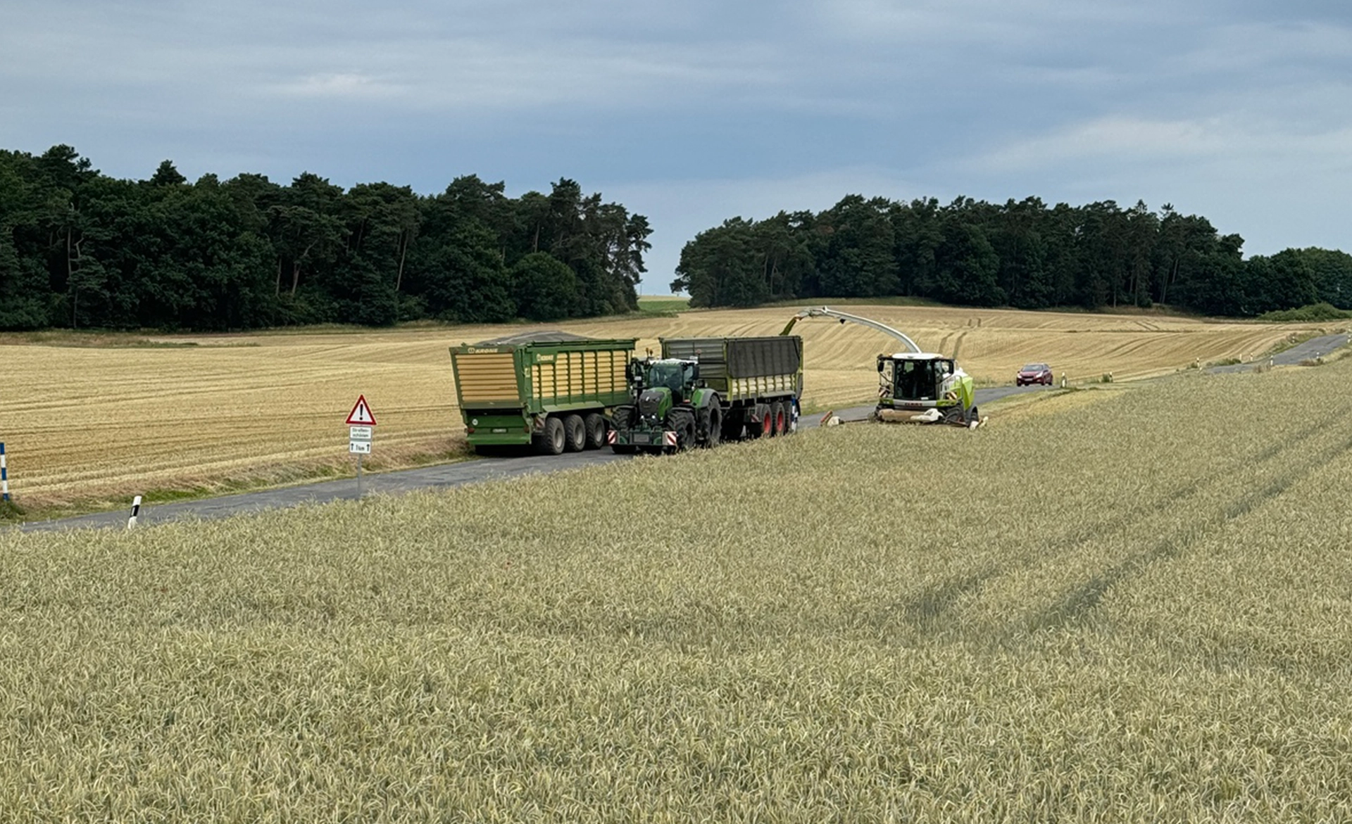 Getreideganzpflanzensilage